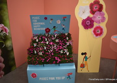 Het nieuwe concept voor de tuinanjers dat in ontwikkeling is. Het geeft al wel een naam en zal Pixies heten. Het is echt weer iets heel anders dan de potanjer en omdat de consument er nog best onbekend mee is hebben ze dit concept bedacht.